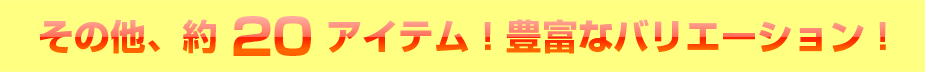 その他、約２０アイテム！豊富なバリエーション！